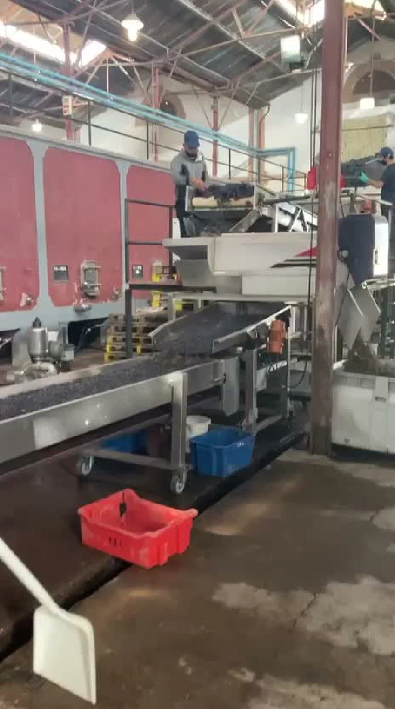 Video 1