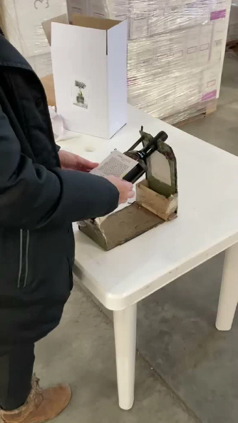 Video 2
