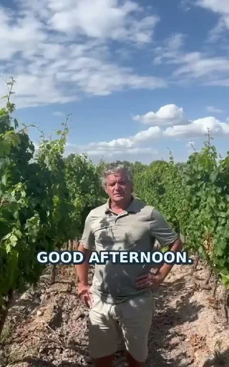 Video 6