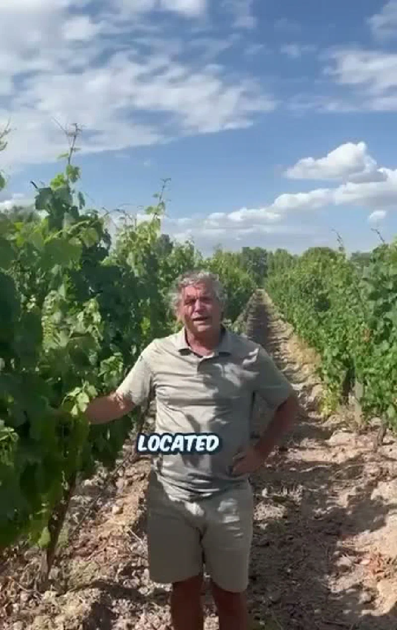Video 7